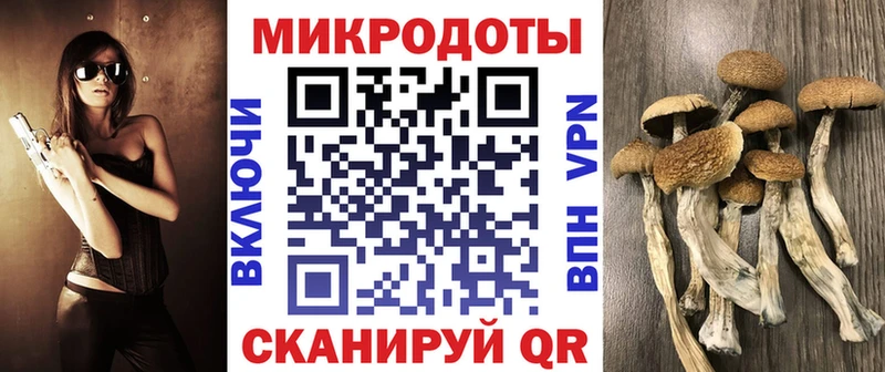 Псилоцибиновые грибы ЛСД  купить наркотики сайты  это формула  Грайворон 