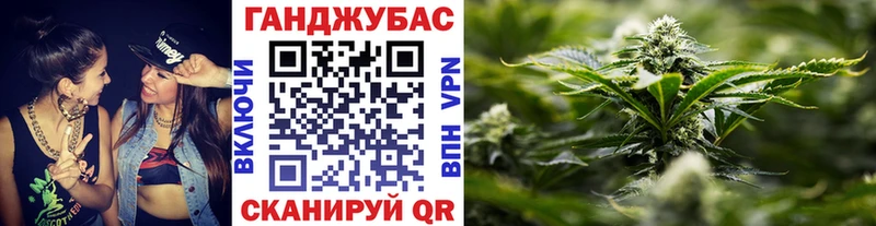 Конопля планчик блэк спрут зеркало Грайворон
